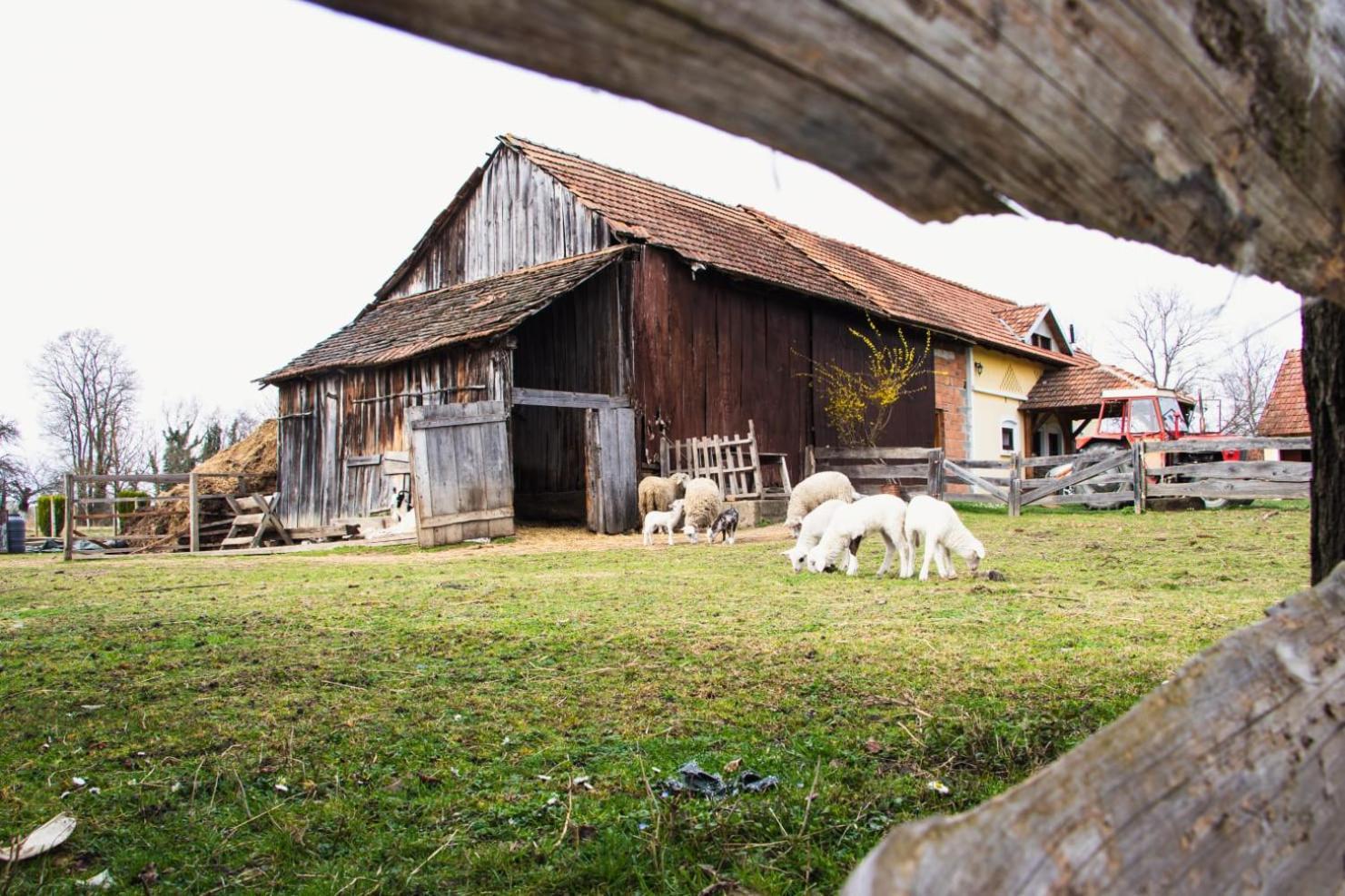 Country House Ivancan Molve Екстер'єр фото