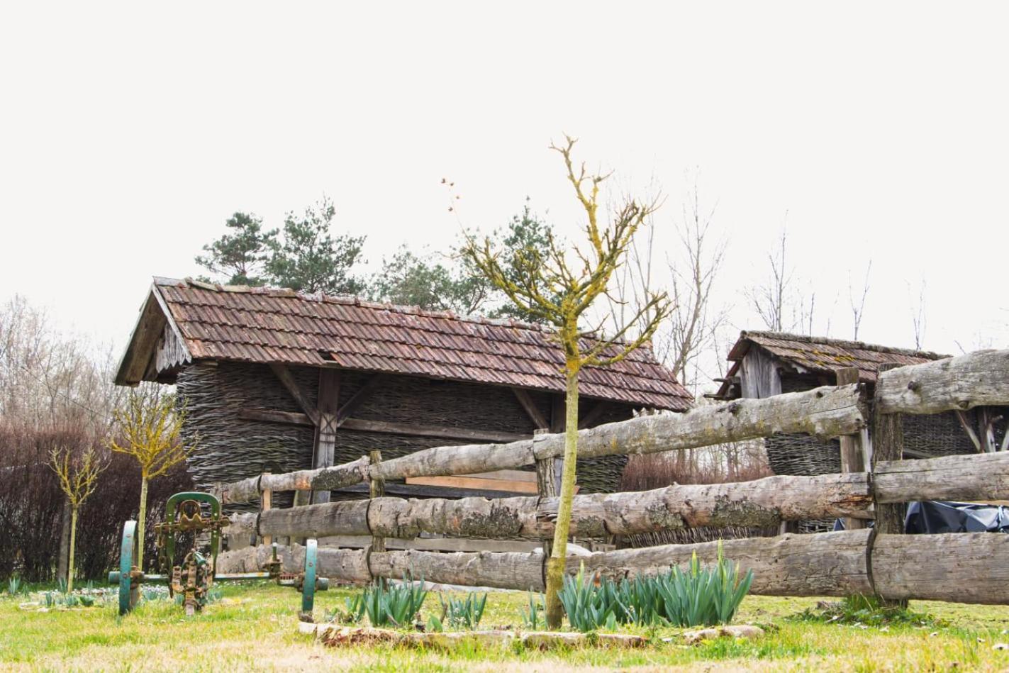 Country House Ivancan Molve Екстер'єр фото