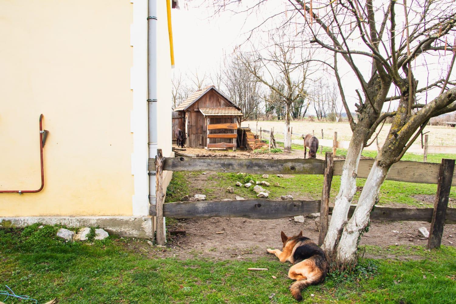 Country House Ivancan Molve Екстер'єр фото