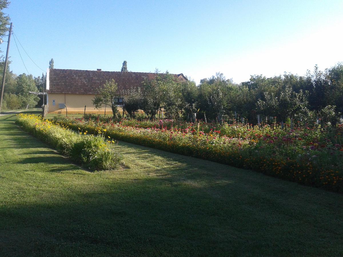 Country House Ivancan Molve Екстер'єр фото